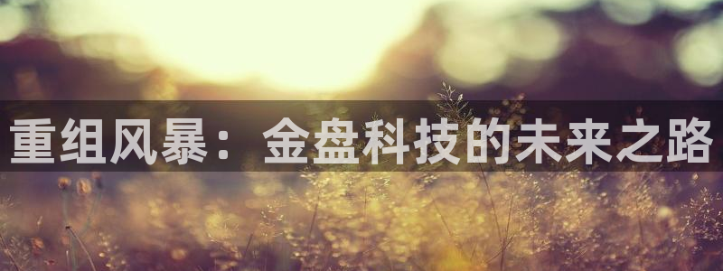 重组风暴：金盘科技的未来之路