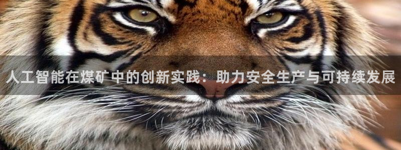 人工智能在煤矿中的创新实践：助力安全生产与可持续发展